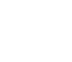 RX Motors